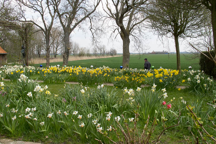 Beete mit Frühlingsblumen